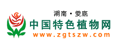 绿一佳农业网（原中国特色植物网）特色植物课题组