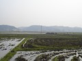 绿色家园种植专业合作社基地