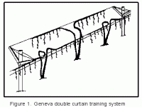 葡萄吉尼瓦双帘式(Geneva Double Curtain )
