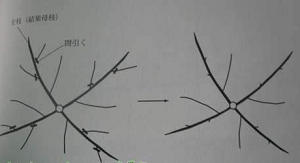 0_QCLSYK@5RBZPJ5)8~NV(P