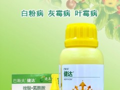 健达（唑醚·氟酰胺）在葡萄与桑椹栽培中的科学应用