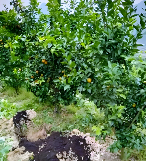 微信图片_2025-11-14_232138_723