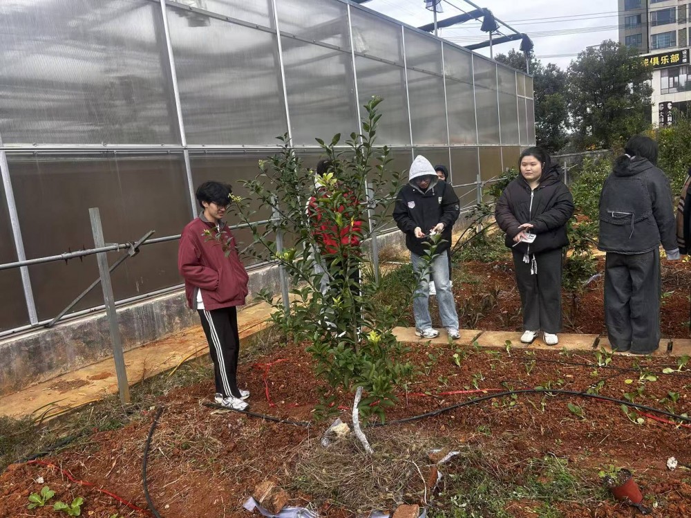 微信图片_20251119235751_567_409