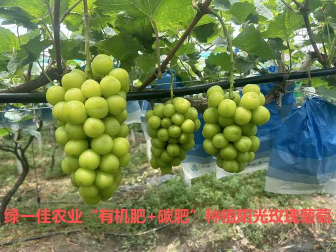 微信图片_20251222161658_686_409(1)