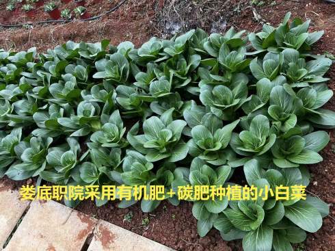 微信图片_20251222161612_685_409(1)(1)