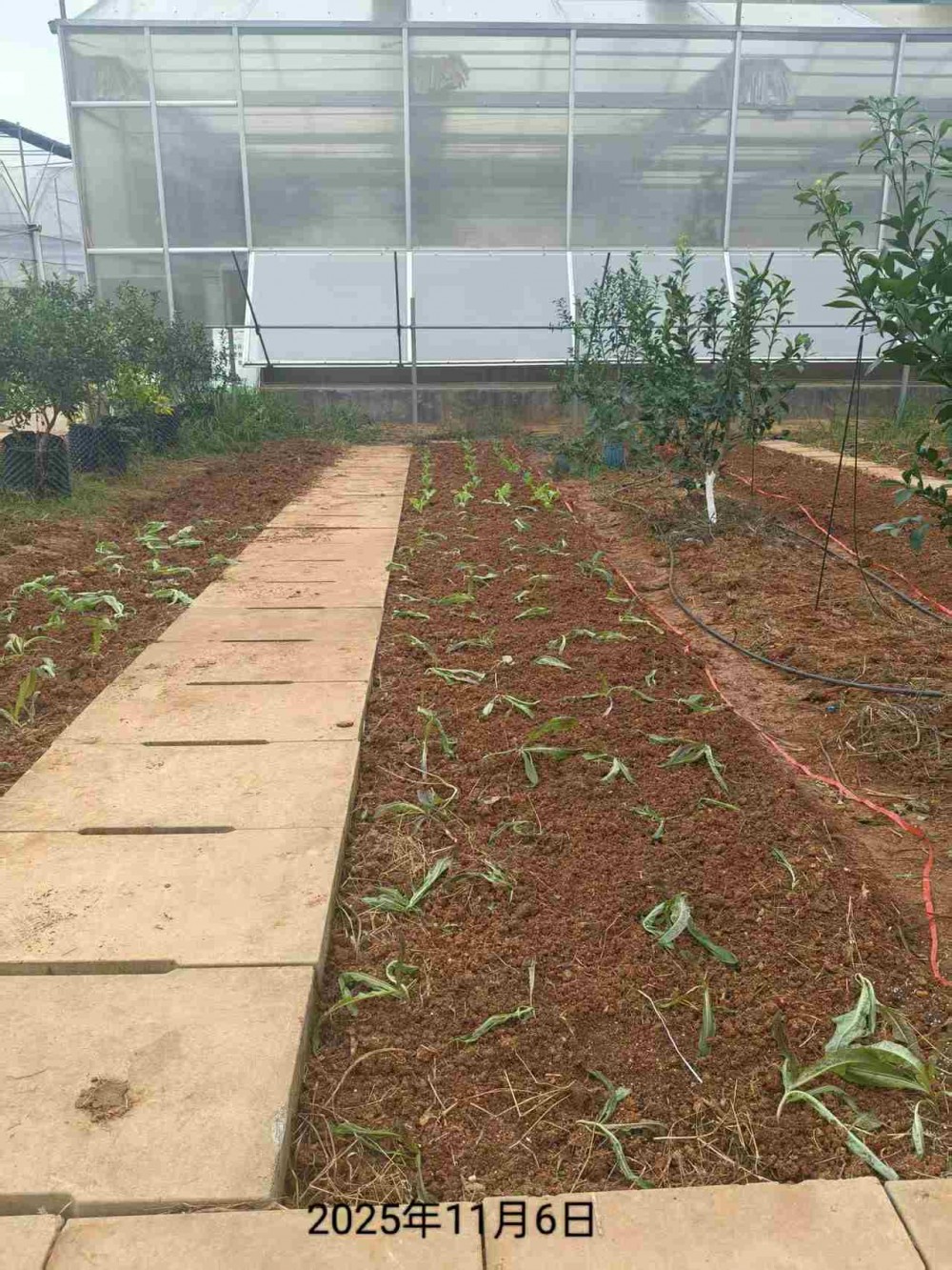 微信图片_20251223205044_52_2174