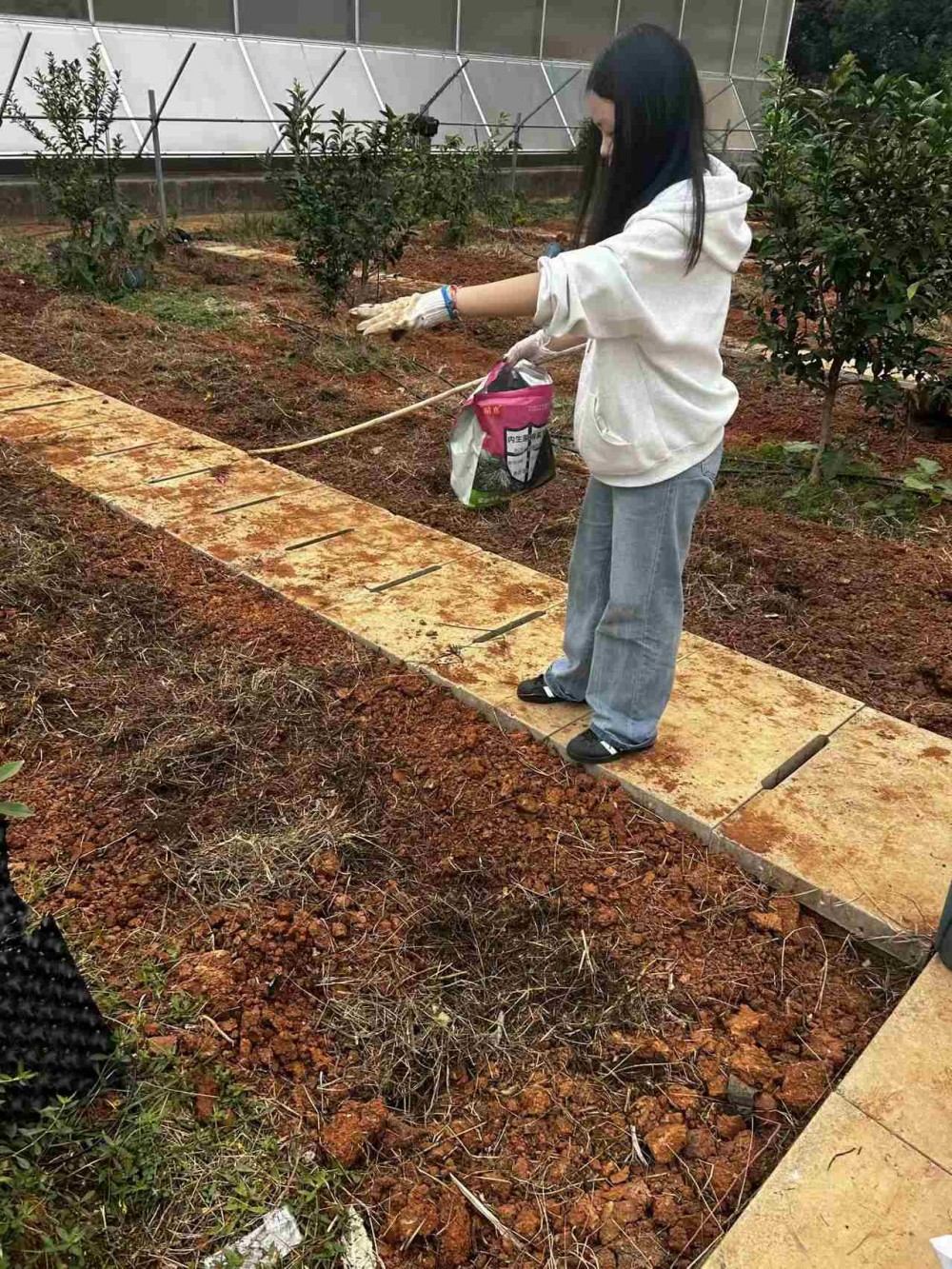 微信图片_20251225085533_735_409