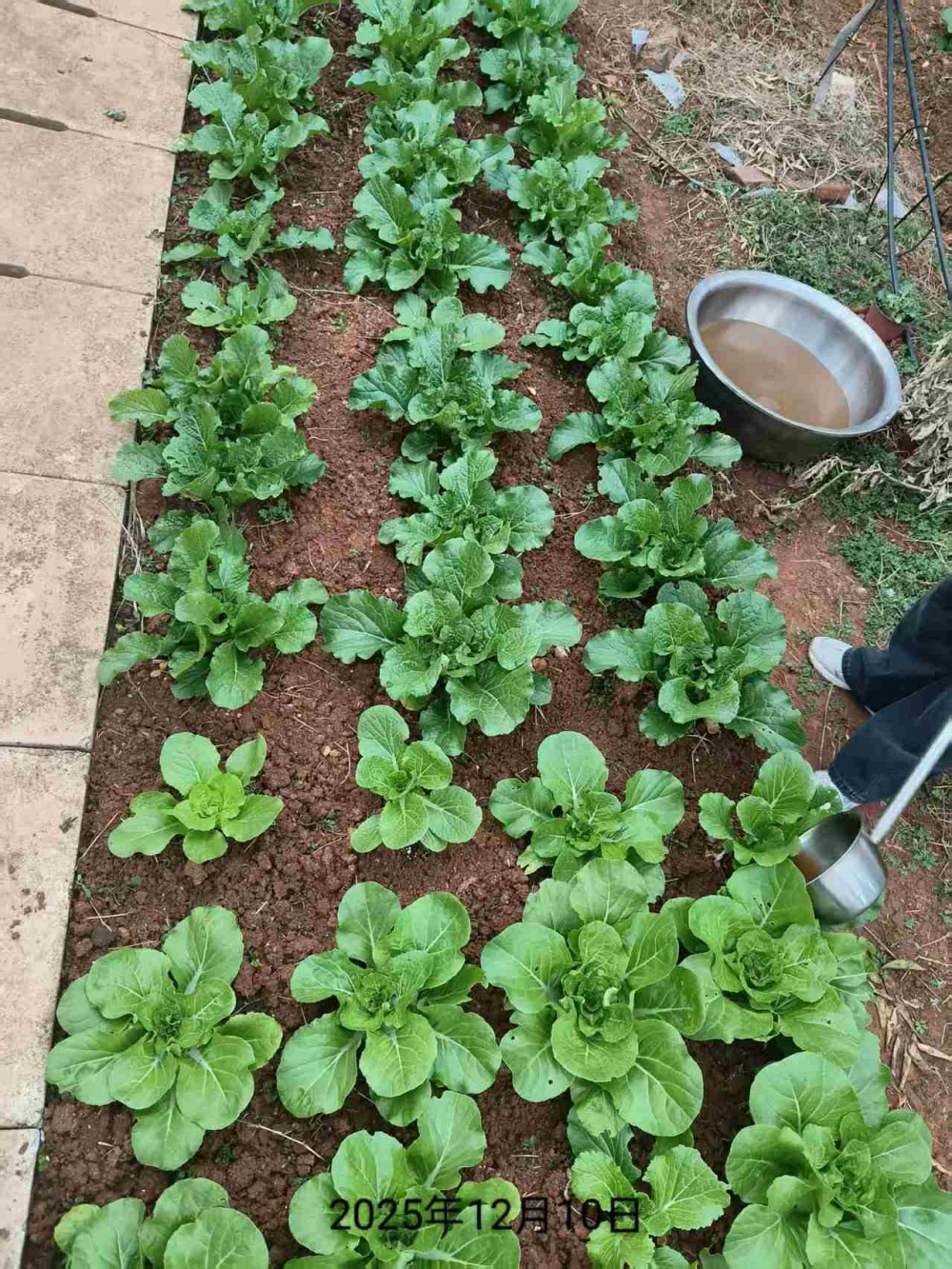 微信图片_20251223205049_55_2174